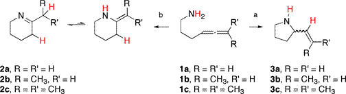 Intramolecular hydroamination