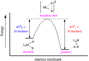 a free energy diagram